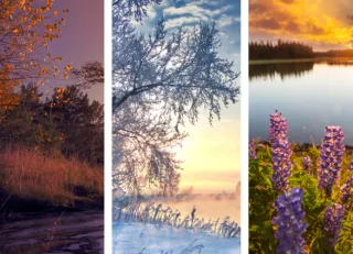Multi-season landscape